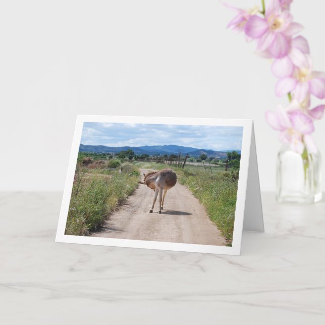 Carte Mulet espagnol sur route de campagne (Orchidée)