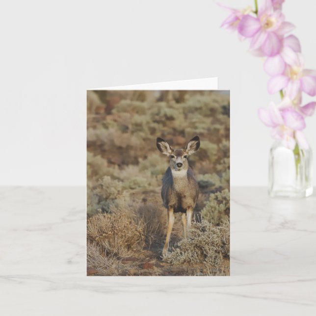 Carte Muley in the Sage - 4" x 5.6" Notecard (Orchidée)