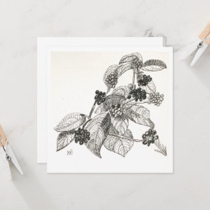 Carte Mûres à l'encre et au stylo