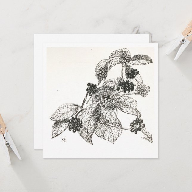 Carte Mûres à l'encre et au stylo (Devant/Arrière en situation)