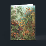 Carte Muscinae vintage, plantes de mousse par Ernst Haec<br><div class="desc">Illustration vintage de la nature,  dessin botanique par Ernst Haeckel. Une variété de mousses colorées,  de graminées et d'autres plantes tropicales exotiques dans une jungle de forêt tropicale.</div>