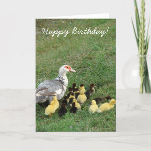 Carte Muscovy Hen Avec Des Colliers, Joyeux Anniversaire