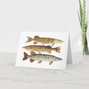 Carte Muskie, Pike et tigre