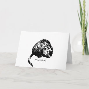 Carte Muskrat (illustration)