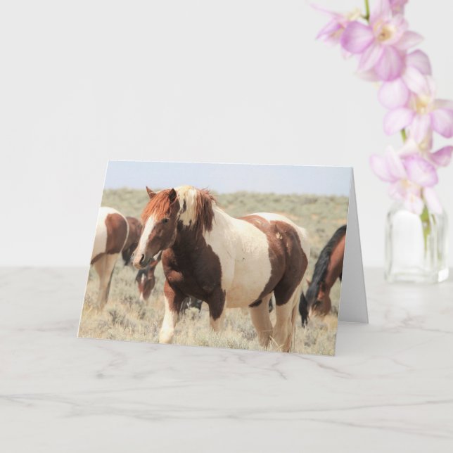 Carte Mustangs sauvages de l'Occident (Orchidée)
