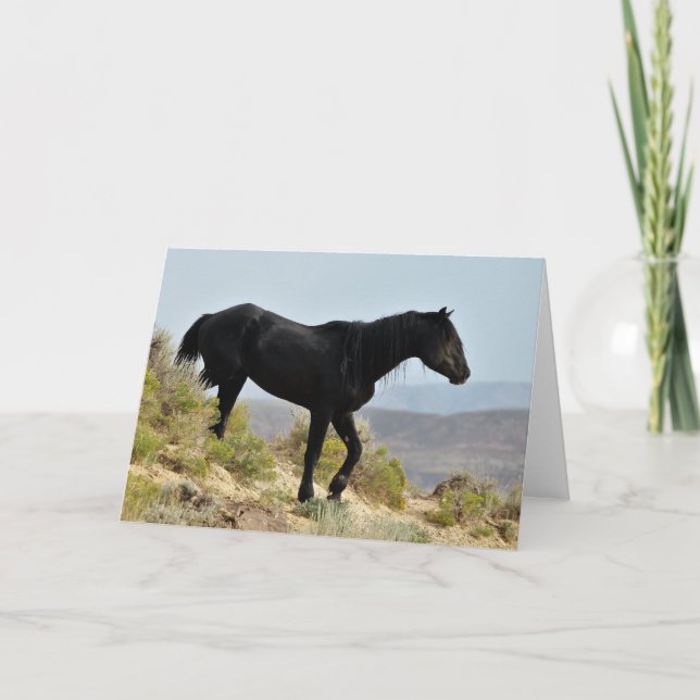 Carte Mustangs sauvages de l'Occident (Devant)