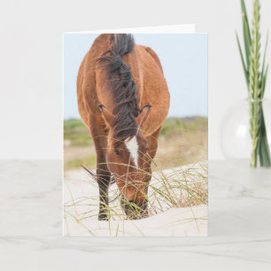 Carte Mustangs sauvages ou chevaux Banker