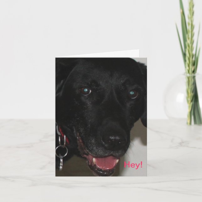 Carte My Black Lab Thank-You Card (Devant)