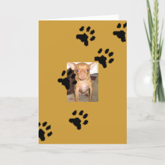 Carte n1033590036_30149730_9405mmmm, empreintes de pas