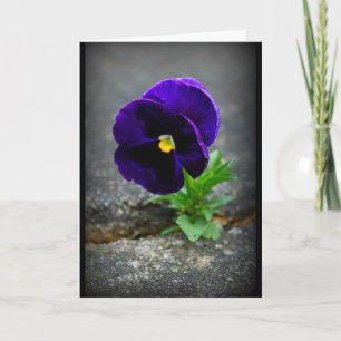 Carte N'Abandonne Jamais !