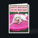 CARTE NAGER CHIEN AIME BROTHER/BEST AMI ANNIVERSAIRE<br><div class="desc">CE CHIEN AIME SON "FRÈRE" ET DIT QU'IL EST SON "MEILLEUR AMI" À SON ANNIVERSAIRE !</div>