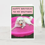 CARTE NAGER CHIEN AIME BROTHER/BEST AMI ANNIVERSAIRE<br><div class="desc">CE CHIEN AIME SON "FRÈRE" ET DIT QU'IL EST SON "MEILLEUR AMI" À SON ANNIVERSAIRE !</div>