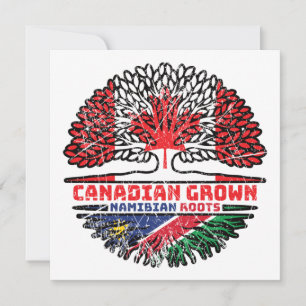 Carte Namibie drapeau canadien des racines de l'arbre du