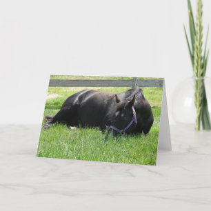 Carte Nap après-midi