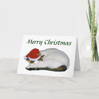 Carte Nap pour chat Noël