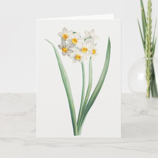 Carte Narcisse, Pierre-Joseph Redouté, 1805 (Devant)