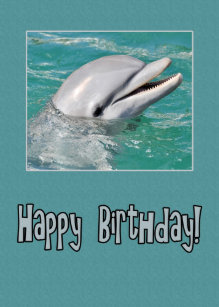 Cartes Dauphin D Anniversaire Zazzle Fr Cartes Dauphin D Anniversaire Zazzle Fr