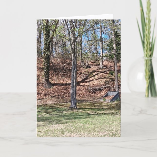 Carte Nature Card (Devant)