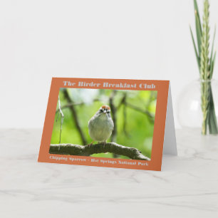 Carte Nature Photographie Chipping Sparrow Birder