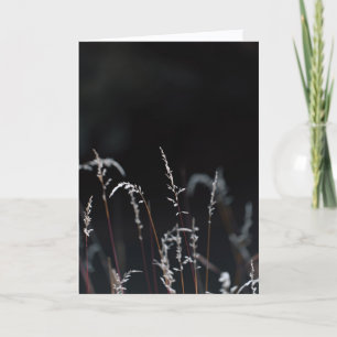 Carte Nature sombre et lunatique, Sympathie