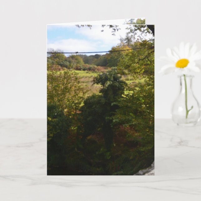 Carte nature way of impersonating animals (Petite plante)