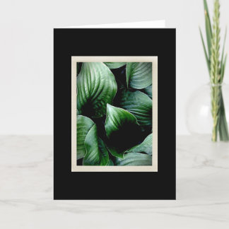 Carte naturelle des délicatesses 104