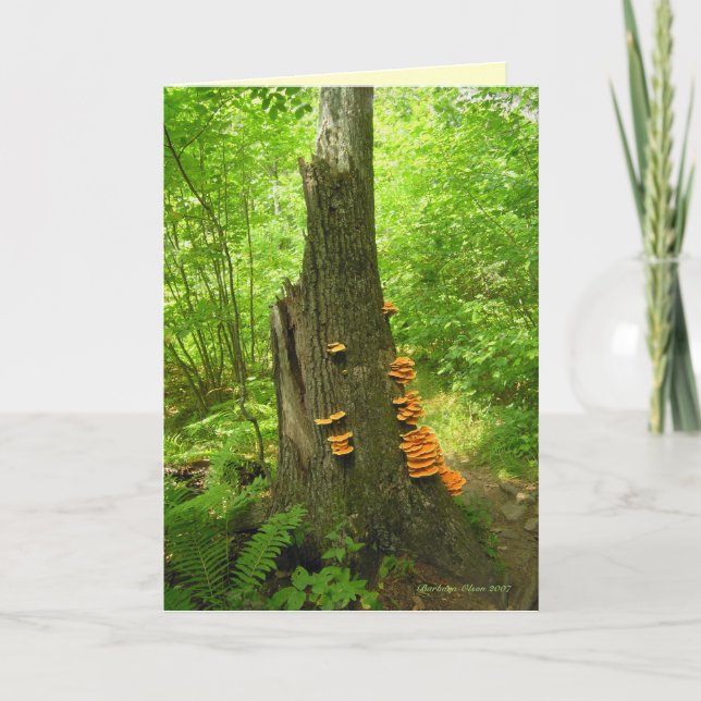 Carte Nature's Art : Beartown State Forest - Citation à  (Devant)