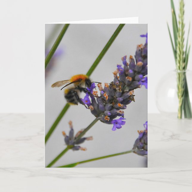 Carte Natures de merveilleux travailleurs (Devant)