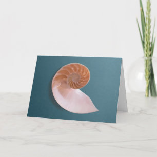 Carte Nautilus Shell sur Ocean Blue Grey Card