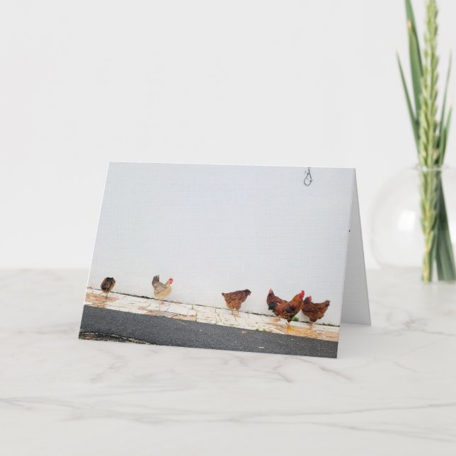 Carte Ne comptez pas les poussins (Devant)
