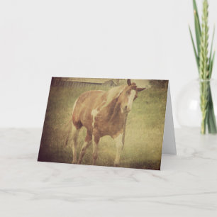 Carte Ne me bourre pas, Cheval de Peinture Shakes Head