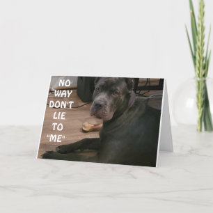 CARTE NE ME MENTEZ PAS, TU NE PEUX PAS AVOIR 30 ANS ! ! 