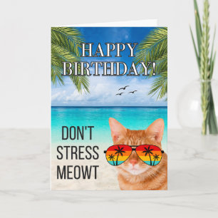 Carte Ne me stresse Miaou Drôle de chat tabby Joyeux ann