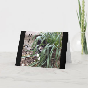 CARTE NE PAS SE CACHER DE LA VÉRITÉ "MEILLEURE NIÈCE" AU