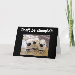 CARTE NE SOIS PAS "SHEEPISH" À "60" DIT SHEEP ! ! !