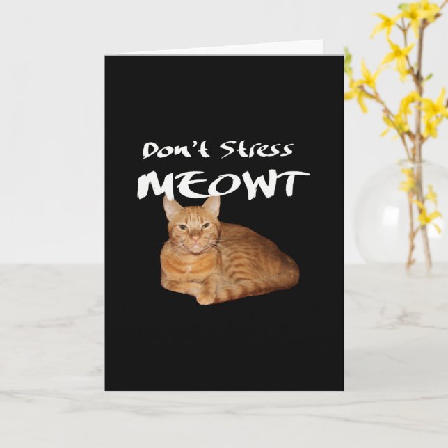Carte Ne stress pas Meowt - Orange Chat me stress Out (Fleur jaune)
