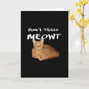 Carte Ne stress pas Meowt - Orange Chat me stress Out