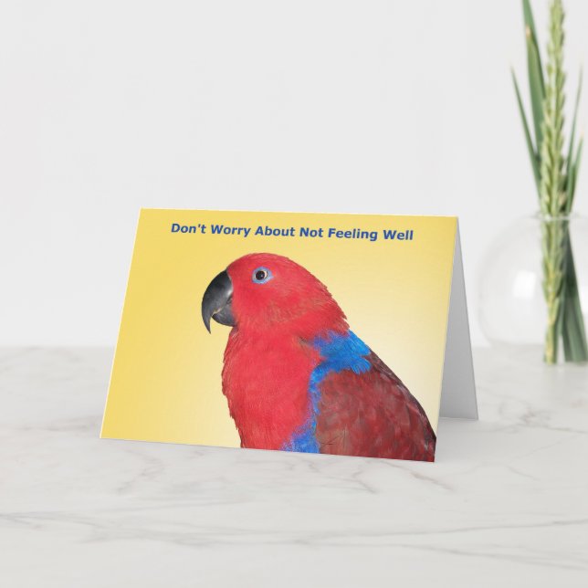 Carte Ne vous inquiétez pas (Devant)