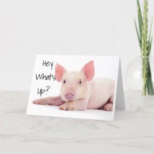 CARTE NE VOUS INQUIÉTEZ PAS CONSEILLE PIG "60" N'EST PAS