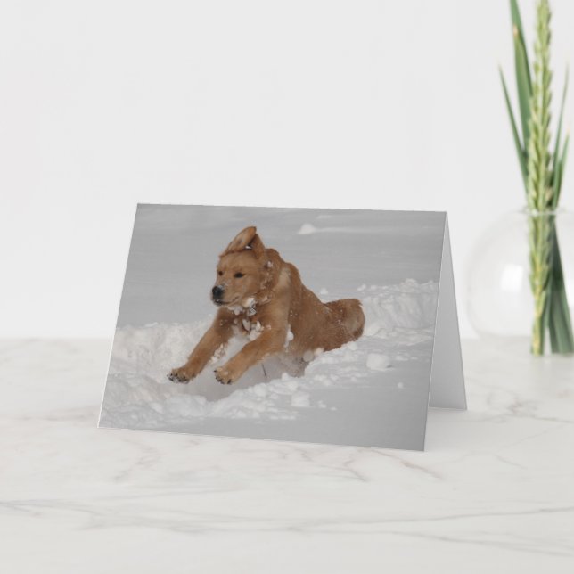 Carte Neige ! (Devant)