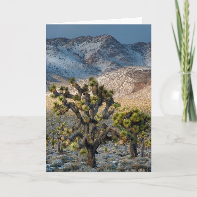 Carte Neige dans la vallée de la mort (Devant)