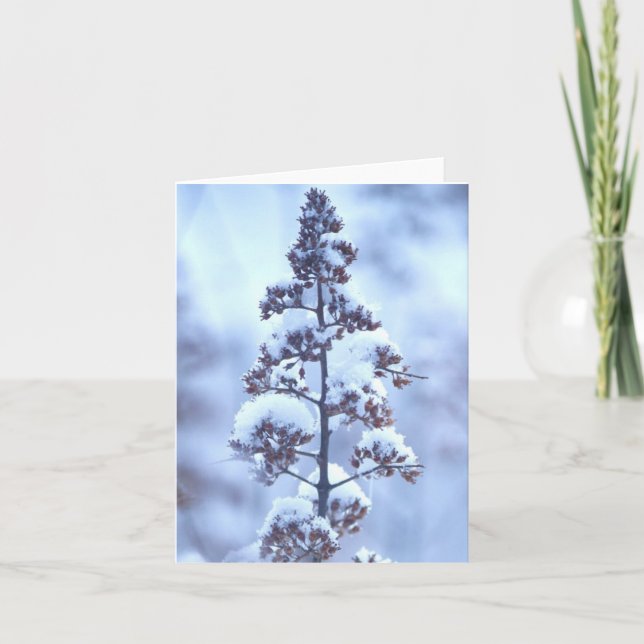Carte Neige d'avril (Devant)