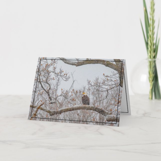 Carte Neige D'Hiver Avec Aigle (Devant)