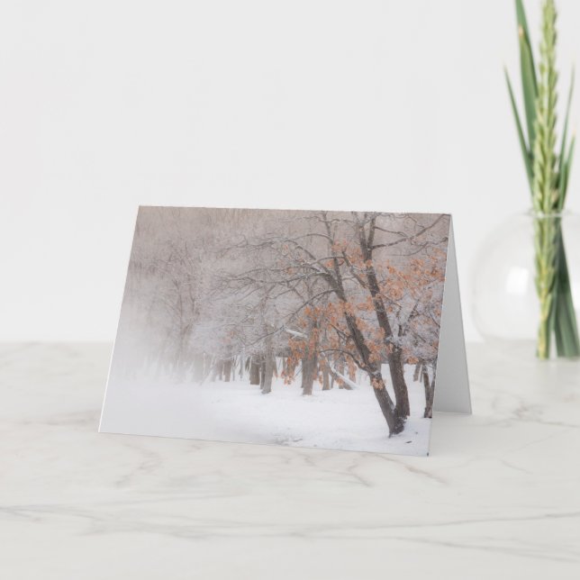 Carte Neige d'hiver | Lac Kussharo (Devant)