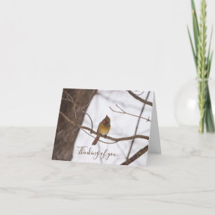 Carte Neige Dit À Nouveau Mme Le Cardinal Qui Pense À Vo