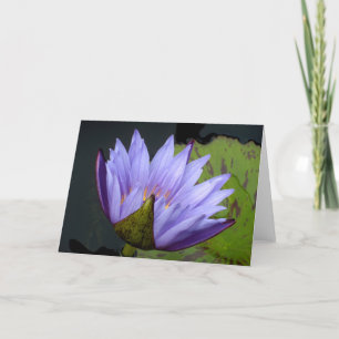 Carte Nénuphar à l'eau de lavande