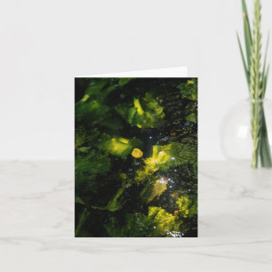 Carte Nénuphar jaune lunatique dans une lumière scintill