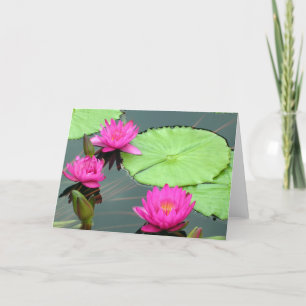 Carte Nénuphars roses
