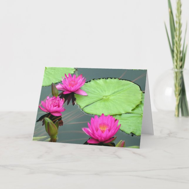 Carte Nénuphars roses (Devant)