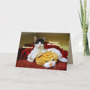 Carte Nephew Happy Birthday Kitten avec Tiger de Jouet